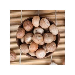 Betel Nut Factory - OEM Custom Wholesale Areca Nut