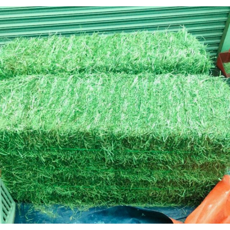 Animal Feed Factory - OEM Custom Alfalfa Hay Bales