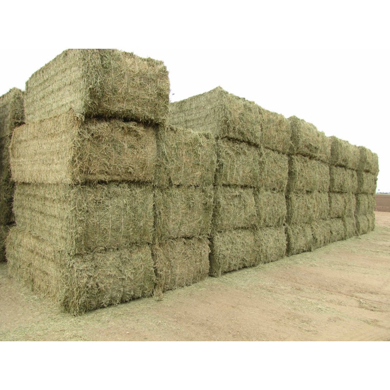 Animal Feed Factory - OEM Custom Feed Grade Alfalfa Hay