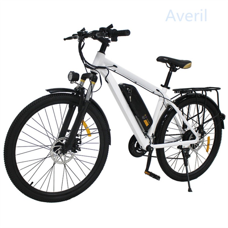 Electric Bike Manufacturer - OEM Custom European Style E-Bike