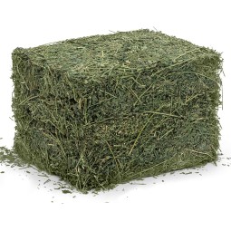Animal Feed Factory - OEM Custom Feed Grade Alfalfa Hay