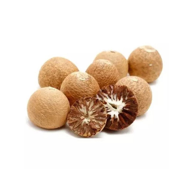 Betel Nut Manufacturer - OEM Custom Certified Areca Nut