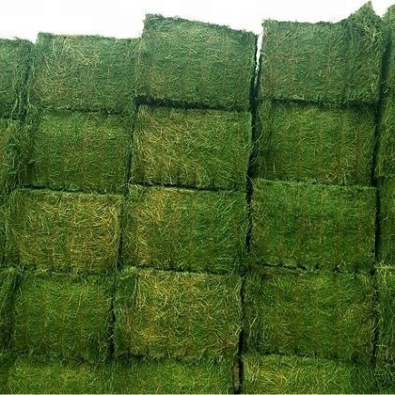 Animal Feed Manufacturer - OEM Custom Competitive Alfalfa