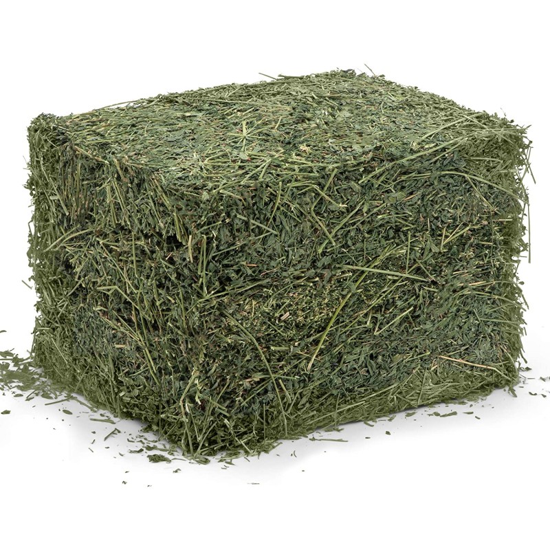 Animal Feed Manufacturer - OEM Custom Alfalfa Timothy Hay