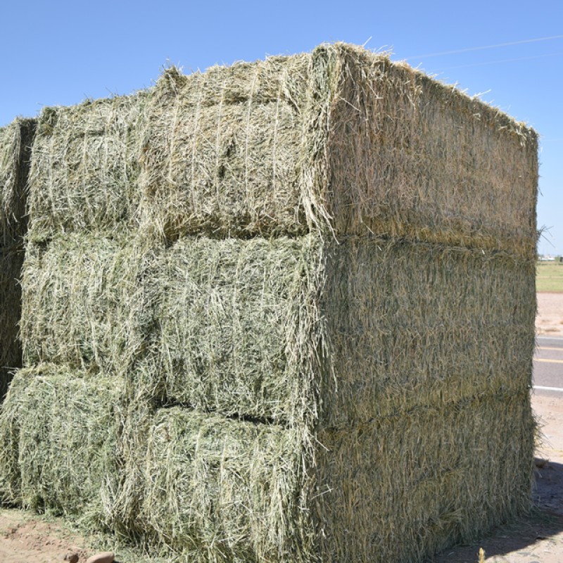 Animal Feed Manufacturer - OEM Custom Alfalfa Timothy Hay