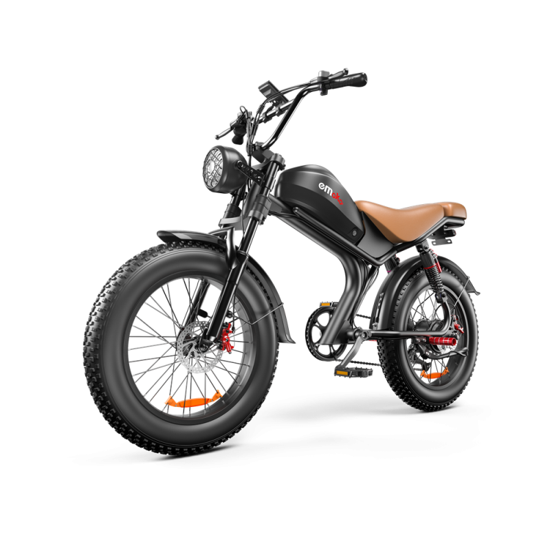 Electric Bike Factory - OEM Custom Electric Mountain Bicycle