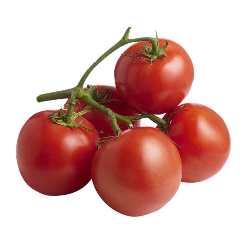 Vegetables Factory - OEM Custom High Quality Tomatoes