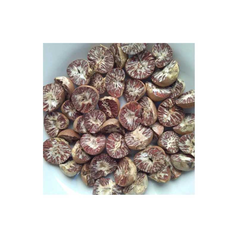 Betel Nut Manufacturer - OEM Custom Certified Areca Nut