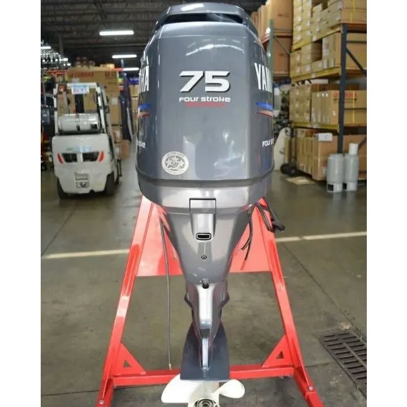 Outboard Motor Manufacturer - OEM Custom Fishing Outboard Motor