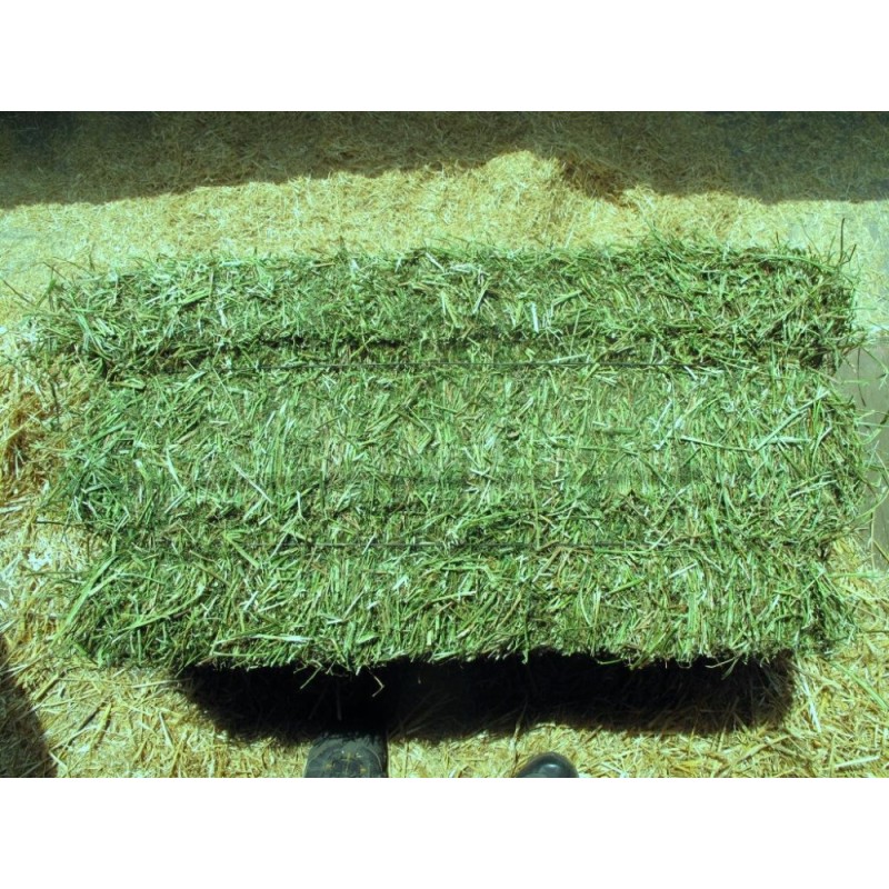 Animal Feed Factory - OEM Custom Premium Alfalfa Hay