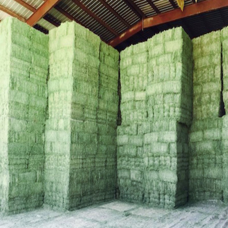 Animal Feed Factory - OEM Custom Alfalfa Hay Bales