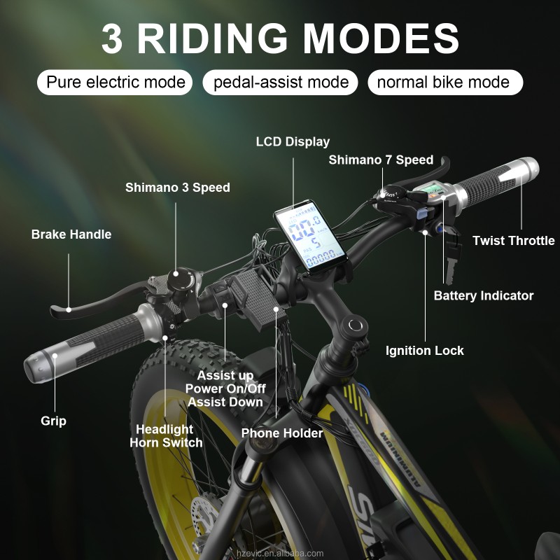 Electric Bike Factory - OEM Custom Road City E-Bike