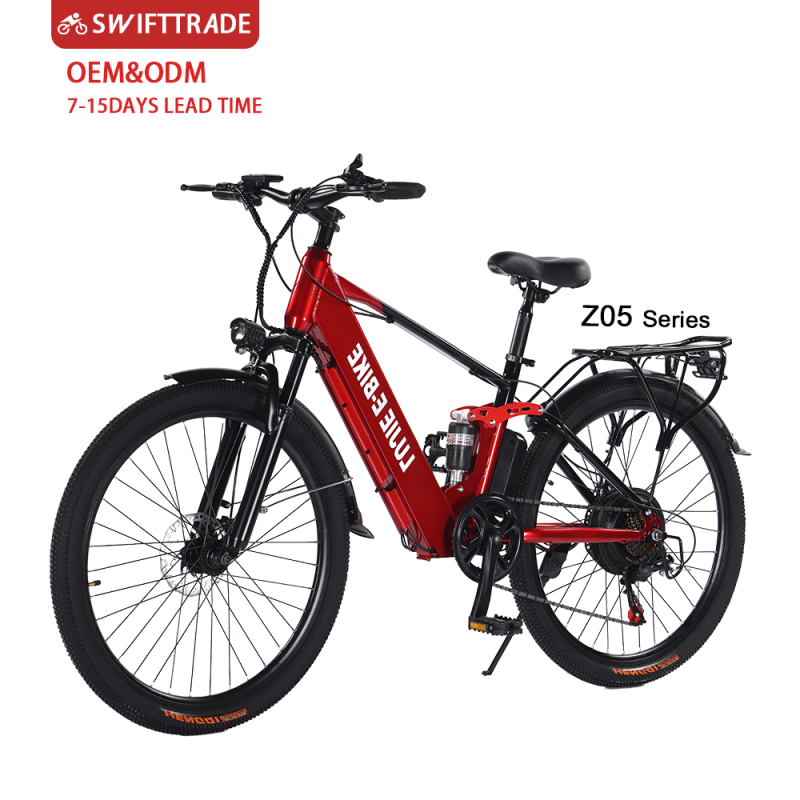 Electric Bike Manufacturer - OEM Custom European Style E-Bike