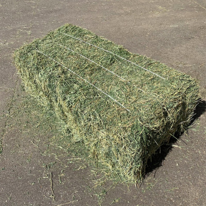 Animal Feed Manufacturer - OEM Custom Competitive Alfalfa