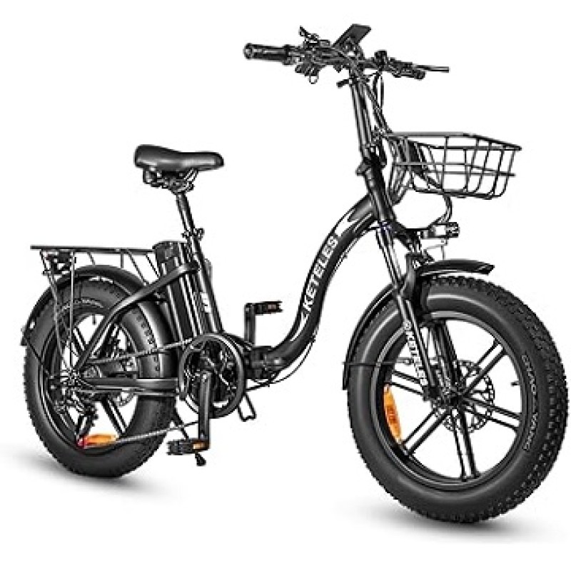 Electric Bike Manufacturer - OEM Custom European Style E-Bike
