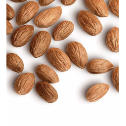 Almond Nuts Factory - OEM Custom Sweet Almond Kernels