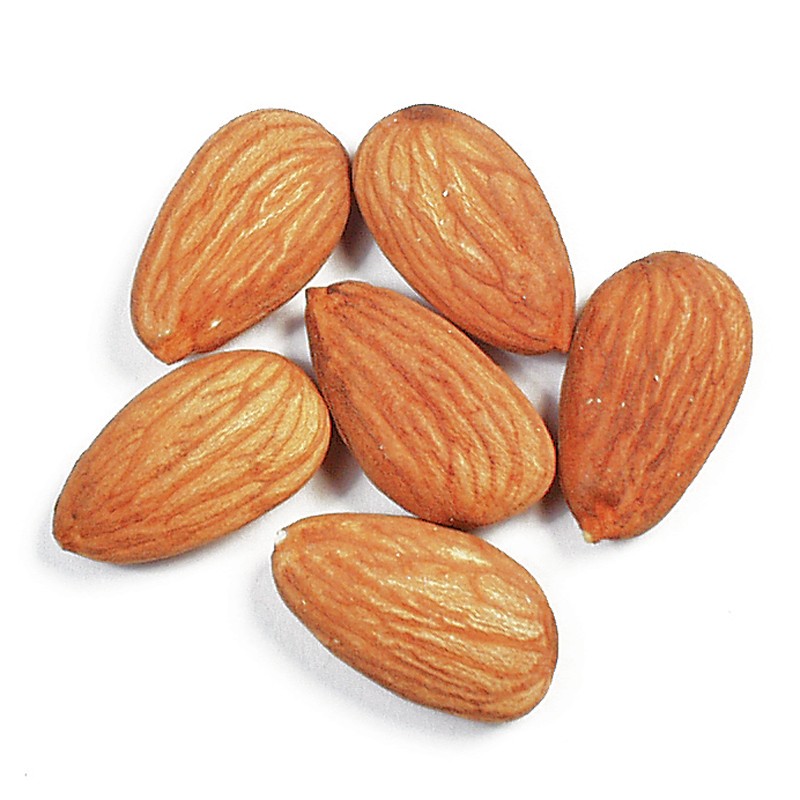 Almond Nuts Factory - OEM Custom Natural Almond Kernels