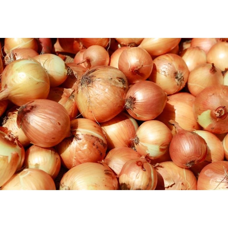 Vegetables Factory - OEM Custom Fresh Yellow Onions