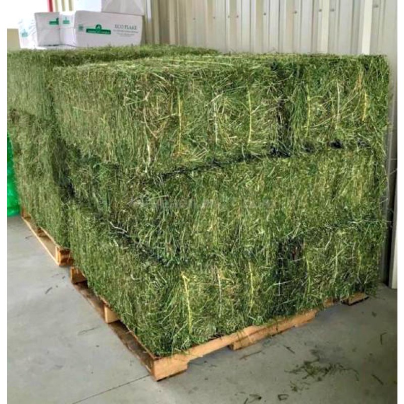 Animal Feed Factory - OEM Custom Premium Alfalfa Hay