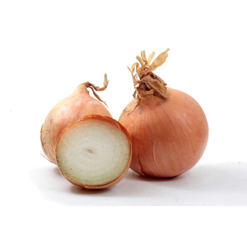 Vegetables Factory - OEM Custom Fresh Yellow Onions