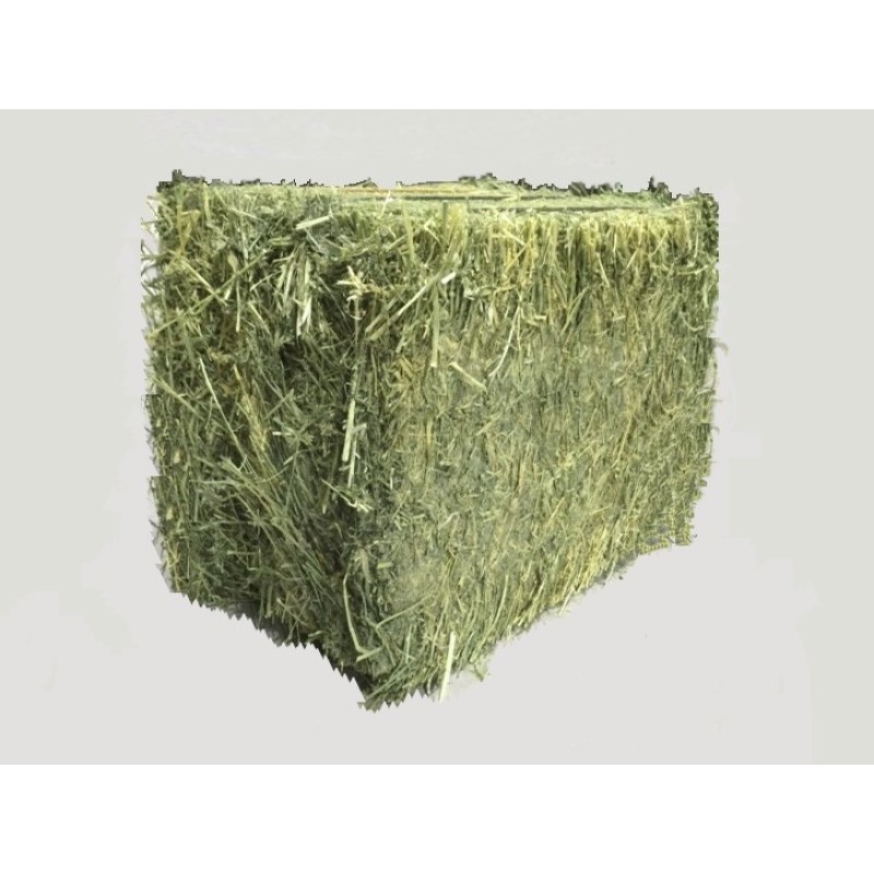 Animal Feed Factory - OEM Custom Feed Grade Alfalfa Hay