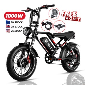 Electric Bike Manufacturer - OEM Custom Mountain Electric Cycle
