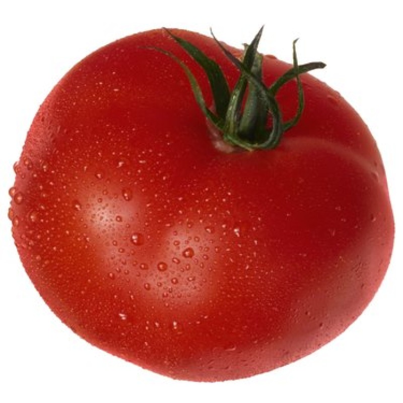 Vegetables Manufacturer - OEM Custom Bulk Fresh Tomatoes