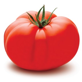Vegetables Factory - OEM Custom Organic Red Tomatoes