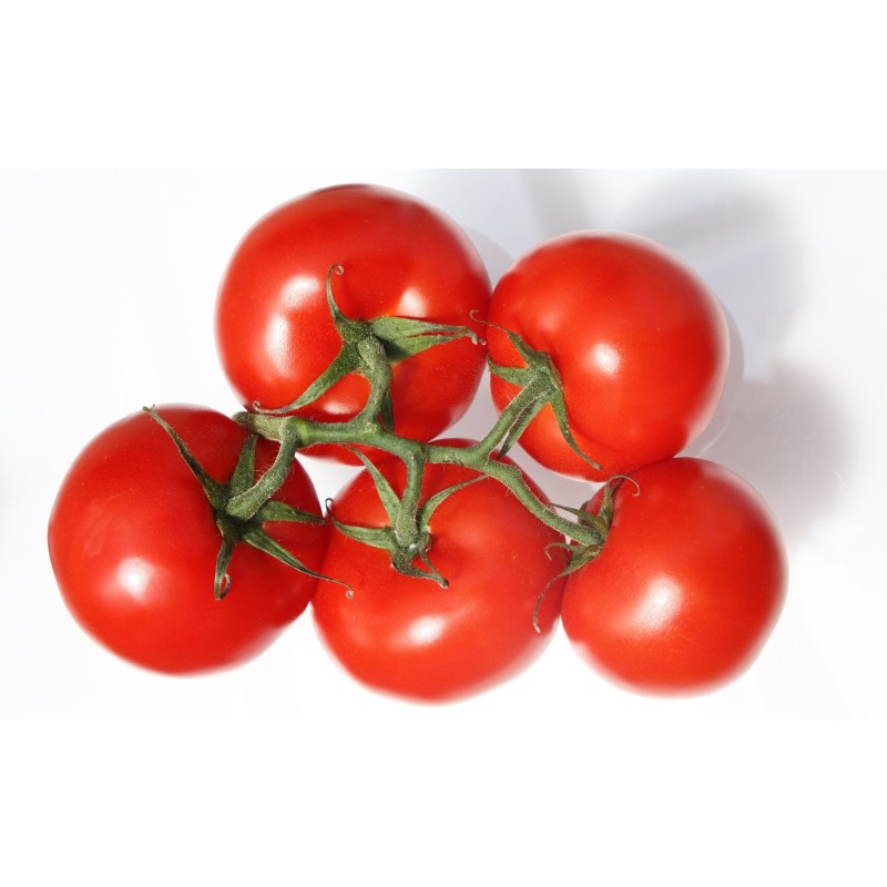 Vegetables Manufacturer - OEM Custom Bulk Fresh Tomatoes