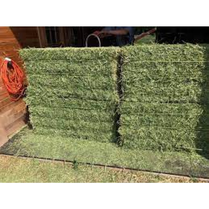 Animal Feed Manufacturer - OEM Custom Top Quality Alfalfa