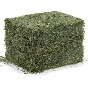 Animal Feed Factory - OEM Custom Alfalfa Hay Bales