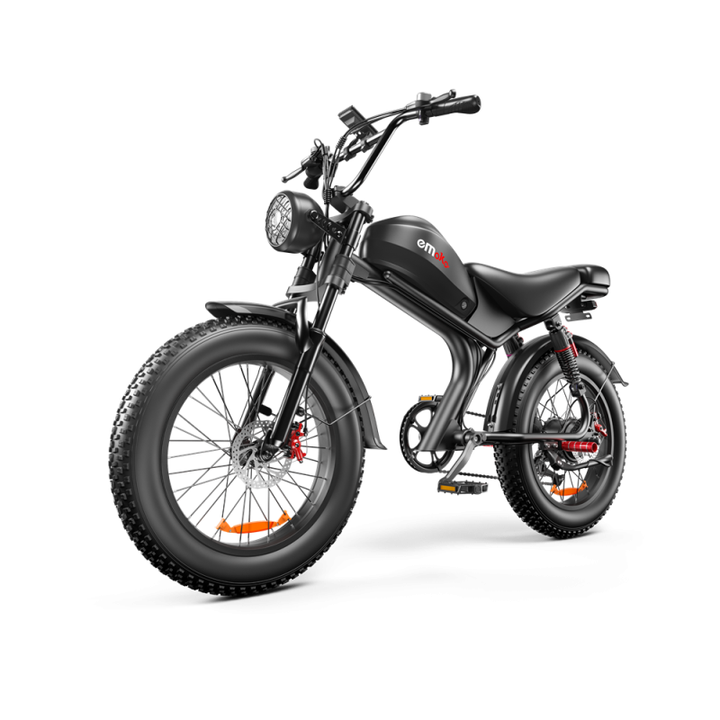Electric Bike Factory - OEM Custom Electric Mountain Bicycle