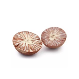 Betel Nut Manufacturer - OEM Custom Natural Brown Betel Nut