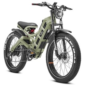 Electric Bike Manufacturer - OEM Custom Long Range E-Bikes