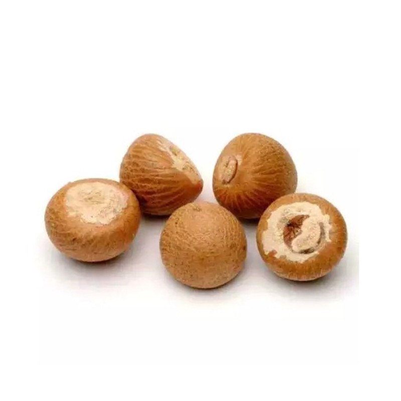 Betel Nut Manufacturer - OEM Custom Natural Brown Betel Nut