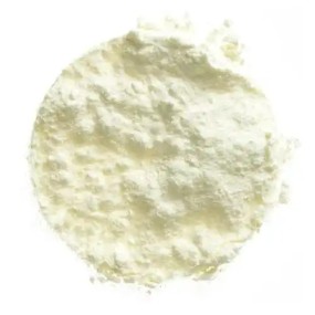 Non Dairy Creamer Manufacturer - 25kg Package Cream Powder