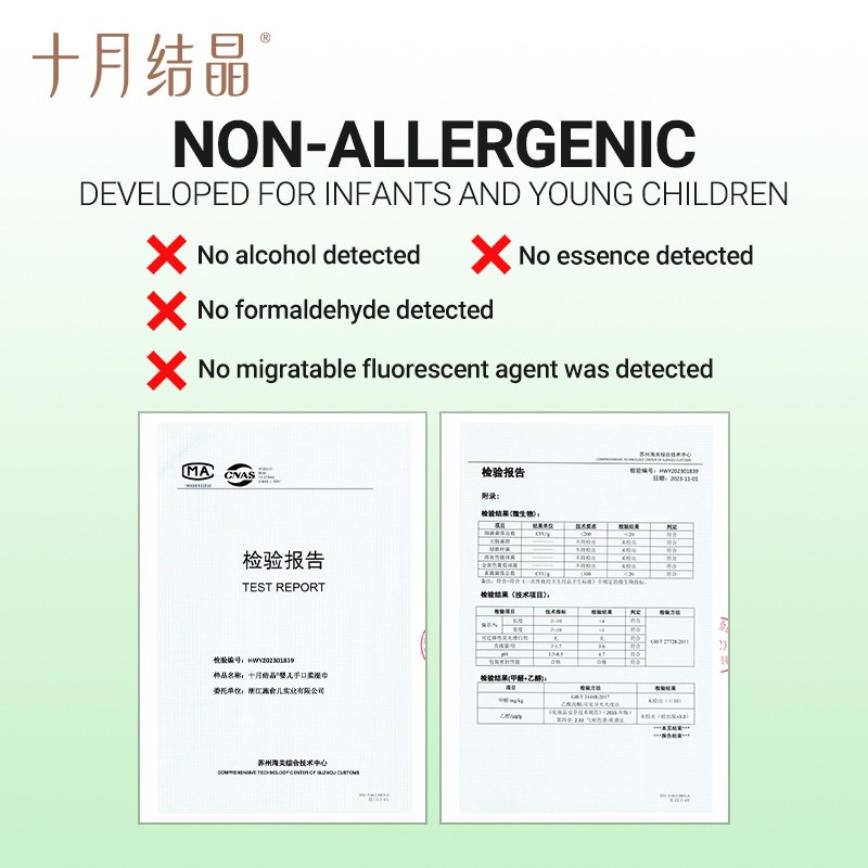 Scalp Brush Factory - OEM Custom Plastic Massage Comb