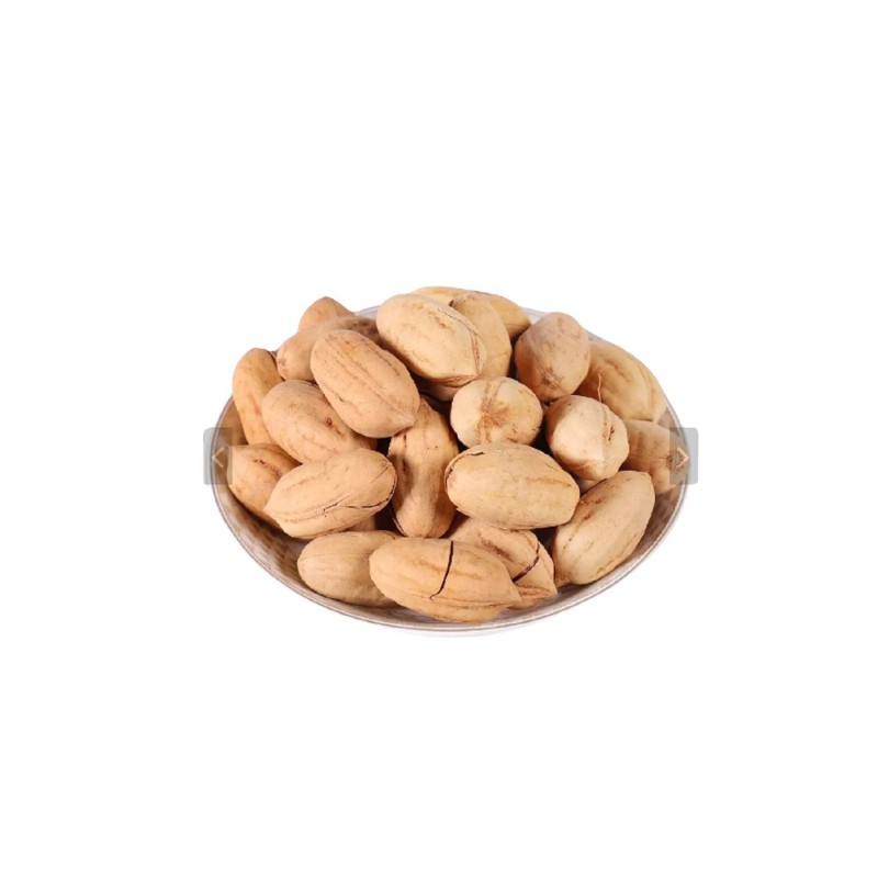 Pecan Nuts Factory - Wholesale Organic Raw Pecan Nuts