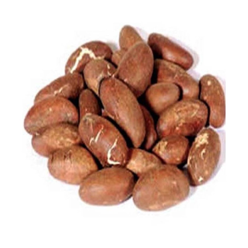 Nuts Supplier - Bulk Bitter Kola Nuts 50kg UK