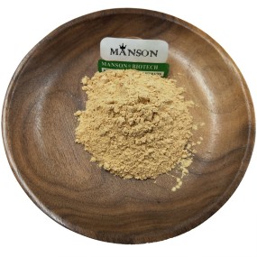 Food Supplement Plant Extract Pure Ajuga Turkestanica 2% 10% 10:1 Turkesterone Powder