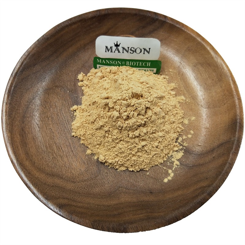 Food Supplement Plant Extract Pure Ajuga Turkestanica 2% 10% 10:1 Turkesterone Powder