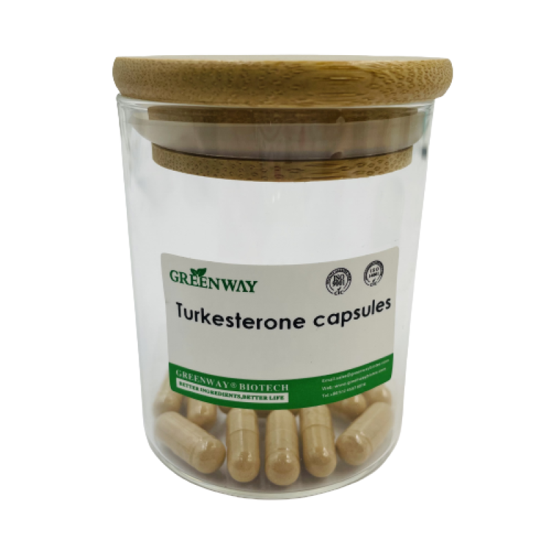 OEM Supplement Private Label Natural Ajuga Turkestanica Extract Turkesterone Powder 500mg Pure Turkesterone Capsules