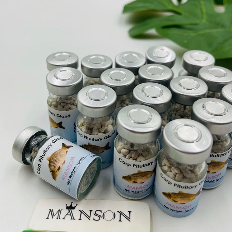 Top Grade Fish Breeding Extract CCP Carp Pituitary Extract CPG Common Carp Pituitary Gland