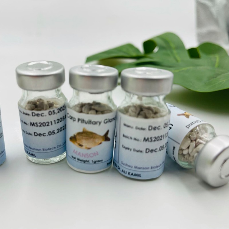 Top Grade Fish Breeding Extract CCP Carp Pituitary Extract CPG Common Carp Pituitary Gland