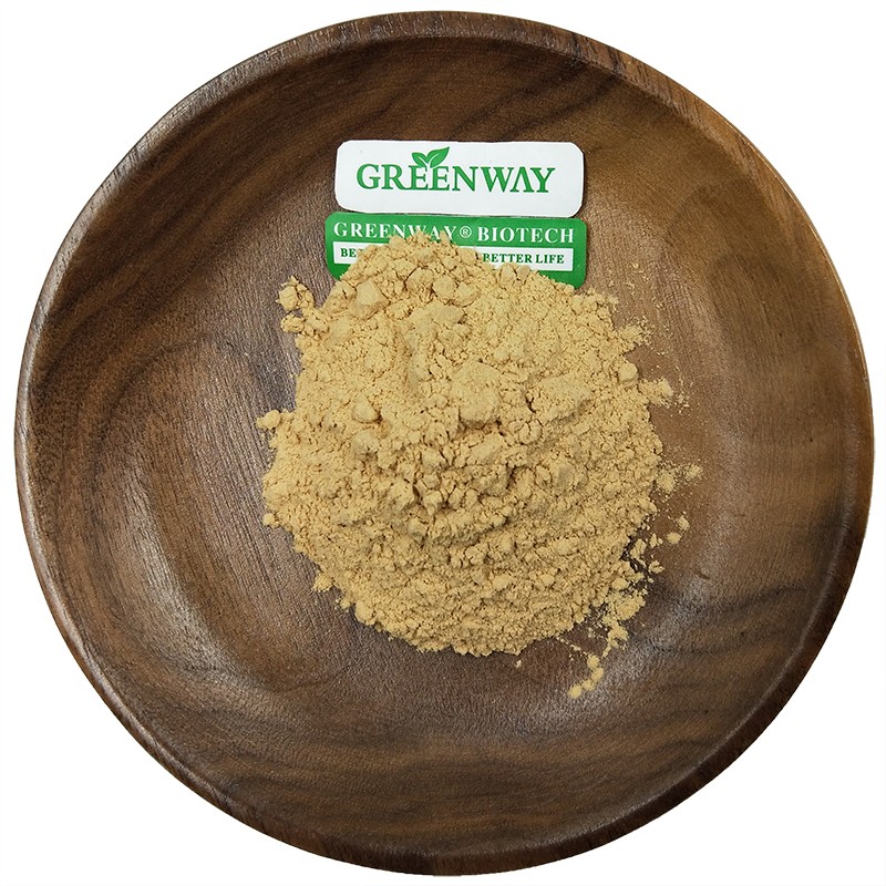 Supply Polysaccharide 30% Tricholoma Matsutake Mushroom Extract