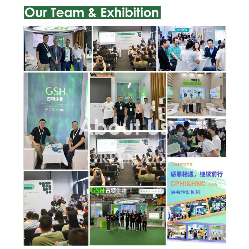 Nutrition Supplements Citicoline 99% CDPC-H Citicoline Sodium CDP Choline CDP-Choline Powder