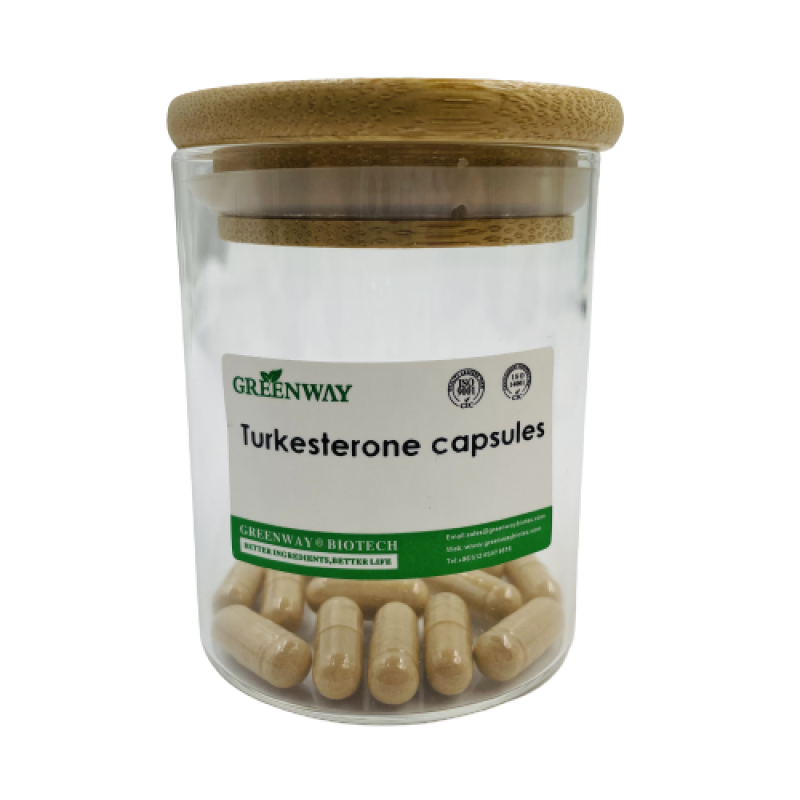 OEM Supplement Private Label Natural Ajuga Turkestanica Extract Turkesterone Powder 500mg Pure Turkesterone Capsules