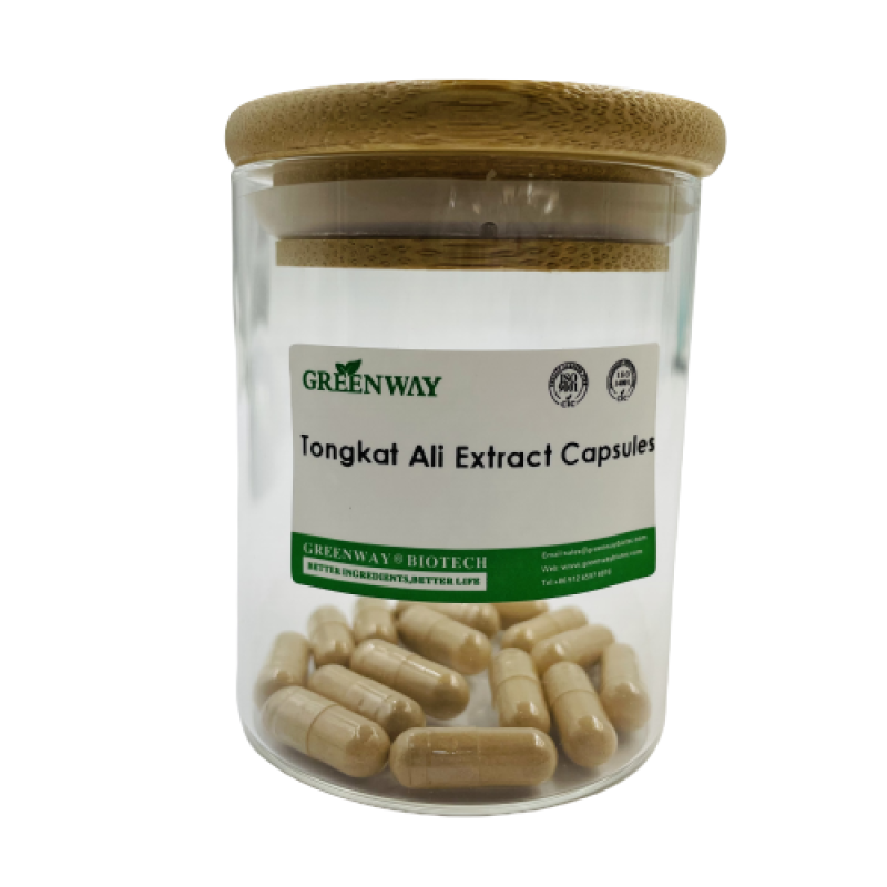 Private Label Wholesale Tongkat Ali Root Extract Supplements Tongkat Ali Powder 500mg Tongkat Ali Capsules