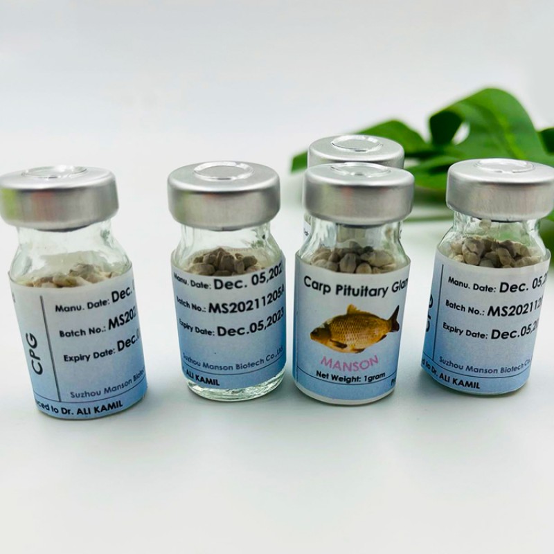 Supply High Quality Carp Pituitary Gland