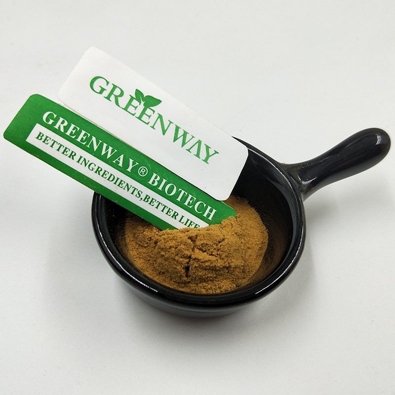 Organic 10:1 Hovenia Dulcis Thunb. P.E/Hovenia Dulcis Extract Turnjujube Powder